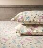 White & Brown 144TC Cotton Flat Super King Bedsheet with 2 Pillow Covers