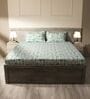 White & Dark Green 144TC Cotton Flat Super King Bedsheet with 2 Pillow Covers