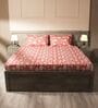 White & Dark Pink 144TC Cotton Flat Super King Bedsheet with 2 Pillow Covers