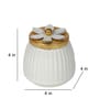 WHite & Gold Dry Fruits Bowl Set of 2