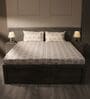 White & Green 144TC Cotton Flat Super King Bedsheet with 2 Pillow Covers