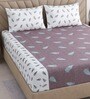 White & Plum Floral 400 TC Cotton Superking Size Fitted Bedsheet With 2 Pillow Covers