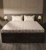 White & Purple 144TC Cotton Flat Super King Bedsheet with 2 Pillow Covers