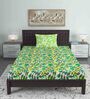 Multicolor Floral 144 TC Cotton Single Bed Sized Bed Sheets With 1 Pillow Cover