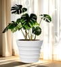 White BR Whte Round 18 Inches Planter