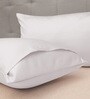 White Satin Solid 24x16 Inches Pillow Cover (Set of 2)