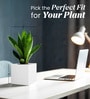 White Square Shaped Polymer Floor Planter