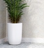 White TPC Whte Round 14Inches Planter