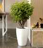 White VNR Whte Round 18 Inches Planter