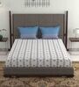Blue Traditional 144 TC Cotton 1 Double Bedsheet with 2 Pillow Covers