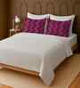 White 100% Cotton Super King Bedsheet with 2 Pillow Covers