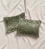White 100% Cotton Super King Bedsheet with 2 Pillow Covers