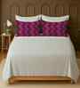 White 100% Cotton Super King Bedsheet with 2 Pillow Covers