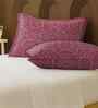 White 100% Cotton Super King Bedsheet with 2 Pillow Covers