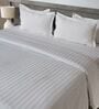 White 300TC 100% Cotton Stripe Flat Super King Bedsheet with 2 Pillow Covers