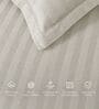 White 300TC 100% Cotton Stripe Flat Super King Bedsheet with 2 Pillow Covers