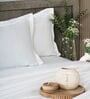 White 400TC 100% Cotton Solid Flat Super King Bedsheet With 2 Pillow Covers