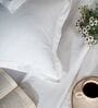 White 400TC 100% Cotton Solid Flat Super King Bedsheet With 2 Pillow Covers