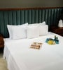White 500 TC 100% Cotton Designer Bed Sheet Collection