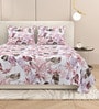 Pink Abstract 220 Tc Cotton Super King Bedsheet With 2 Pillow Covers