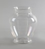 Transparent Acrylic Ginger Table Vase