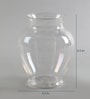 Transparent Acrylic Ginger Table Vase