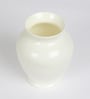 White Acrylic Ginger Table Vase