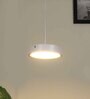 Oval White Aluminium LED Ceiling Lights
