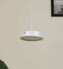Oval White Aluminium LED Ceiling Lights