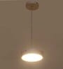 Oval White Aluminium LED Ceiling Lights