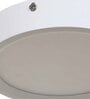 Oval White Aluminium LED Ceiling Lights