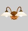 Crisanto White and Brown Metal and Glass Wall Sconces