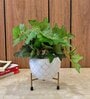 White and Gold Iron Metal Desk Pot