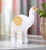 White and Gold-toned Elephant Showpieces