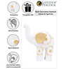 White and Gold-toned Elephant Showpieces