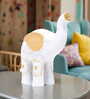 White and Gold-toned Elephant Showpieces