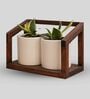 White And Walnut Ceramic & Pinewood Swing Planter With Stand
