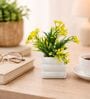 Green Artificial Plants with White Pot