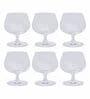 Slender Bone China Wine Glasses (Set of 6)