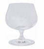 Slender Bone China Wine Glasses (Set of 6)