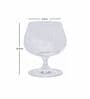 Slender Bone China Wine Glasses (Set of 6)