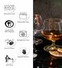 Slender Bone China Wine Glasses (Set of 6)