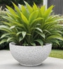 White Bowl Shaped Marble Polymer Floor Planter