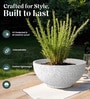 White Bowl Shaped Marble Polymer Floor Planter