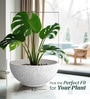 White Bowl Shaped Marble Polymer Floor Planter