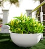 White Bowl Shaped Polymer Floor Planter