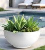 White Bowl Shaped Polymer Floor Planter
