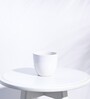 White Ceramic Apple Shape Desk Pot Planter