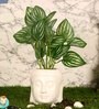 White Ceramic Buddha Shape Flower Pot