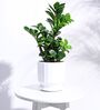 White Ceramic Desk Pot